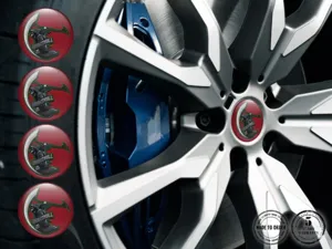 Emblema Ruota Custom Brand Adesivi Cupola Lusso Pro